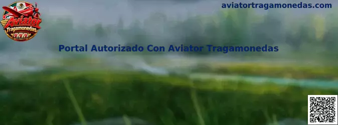 Guía para revisar un Portal Autorizado con Aviator Tragamonedas