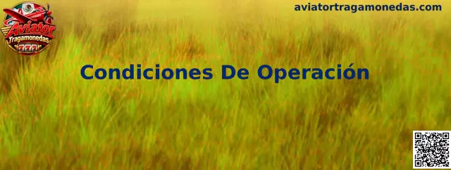 Guía sobre condiciones de operación, pagos y seguridad de Aviator Tragamonedas