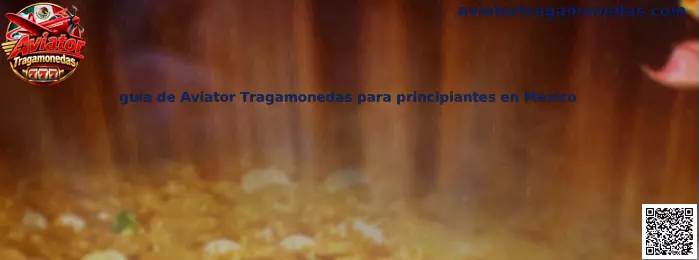 Guía de Aviator Tragamonedas para principiantes en México