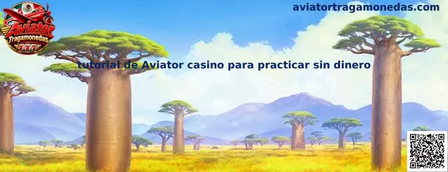 Imagen ilustrativa del tutorial de Aviator casino para practicar sin dinero y conocer su dinámica de juego